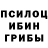 Галлюциногенные грибы прущие грибы Veter Severa