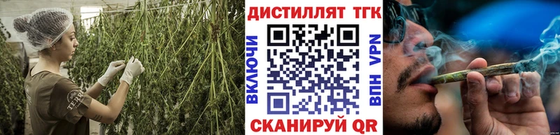 купить   Западная Двина  Дистиллят ТГК гашишное масло 