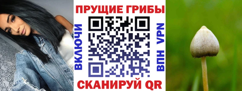 Галлюциногенные грибы GOLDEN TEACHER  Западная Двина 