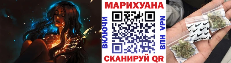 где найти   Западная Двина  Бошки Шишки VHQ 
